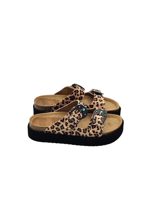 TAJI Buckle Platform