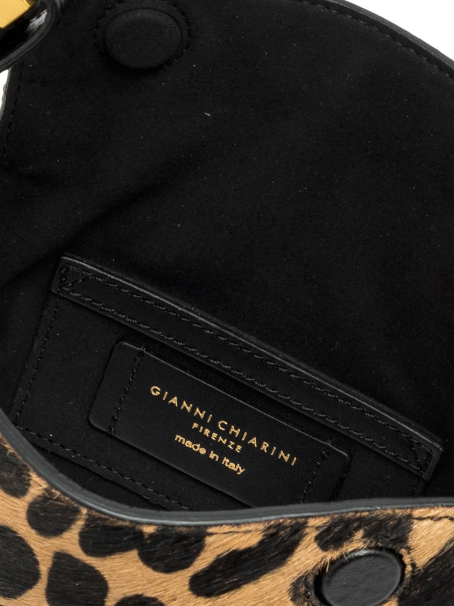 GIANNI CHIARINI Penelope