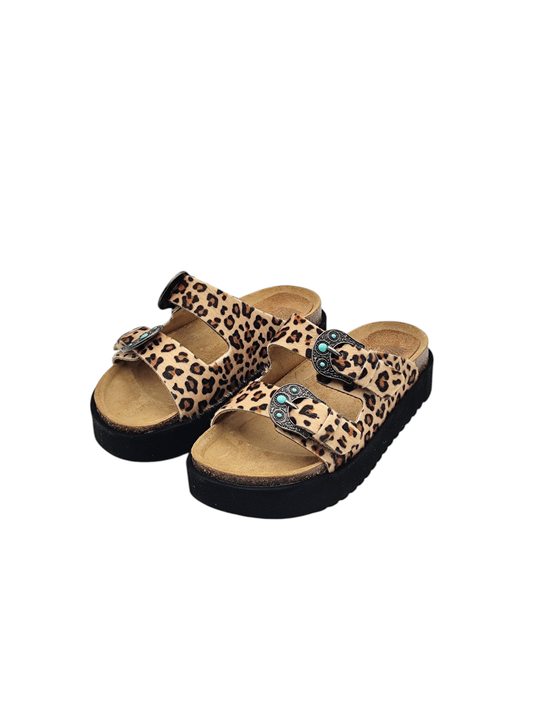 TAJI Buckle Platform